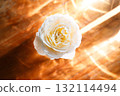 Yellow beautiful blooming rose in glass vase under window light on wooden table. 132114494