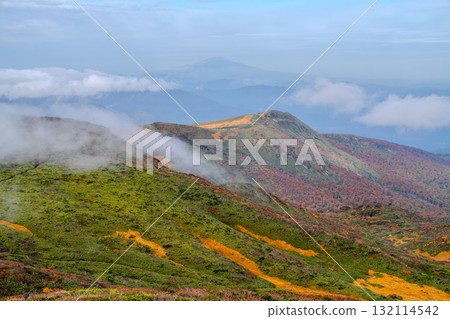 染上秋色的山脊和雲海。栗駒山登山道可眺望鳥海山（出羽富士）。 132114542