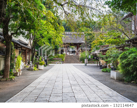 東京，深大寺，通往寺廟山門的道路 132114647