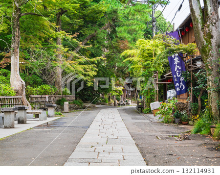 東京Shichoji寺 132114931