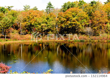 Autumn leaves of Shika Kogen Kazunuma Autumn leaves of Shika Kogen Kazunuma 132114964