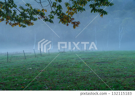 迷霧牧場 迷霧牧場 132115183