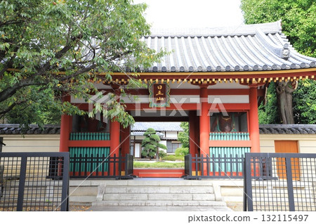 Niomon Gate at Nichiozan Ajainchosenji Temple Niomon Gate at Nichiozan Ajainchosenji Temple 132115497