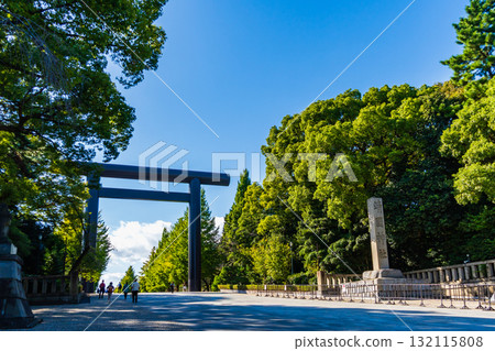 Yasukuni Shrine in Autumn, Tokyo 132115808