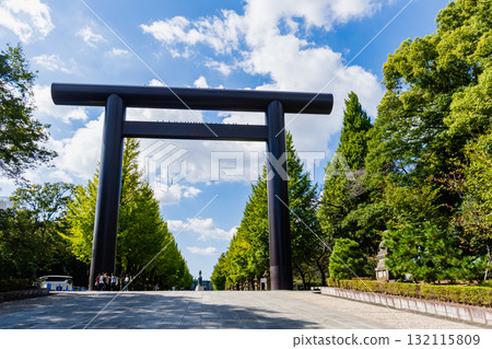 Yasukuni Shrine in Autumn, Tokyo 132115809