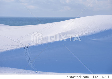 Snowy landscape of Tottori Sand Dunes 132116001
