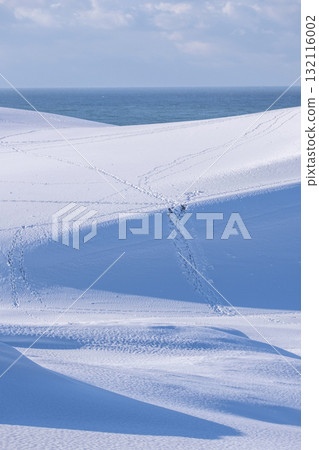 Snowy landscape of Tottori Sand Dunes Snowy landscape of Tottori Sand Dunes 132116002