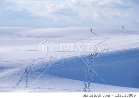 Snowy landscape of Tottori Sand Dunes Snowy landscape of Tottori Sand Dunes 132116009