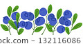 Hand drawn vector illustration of blueberry branches with green leaves and ripe berries 132116086