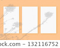 Natural light casts shadows from wildflowers on 3 sheets of white paper lying on an orange background. Mockup 132116752