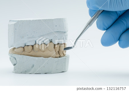 Dental technician working on plaster tooth model 132116757