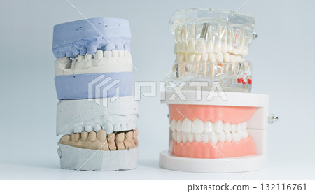 Types of dental models for education and prosthetics 132116761