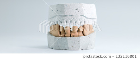 Dental stone model for crown fitting procedure Dental stone model for crown fitting procedure 132116801