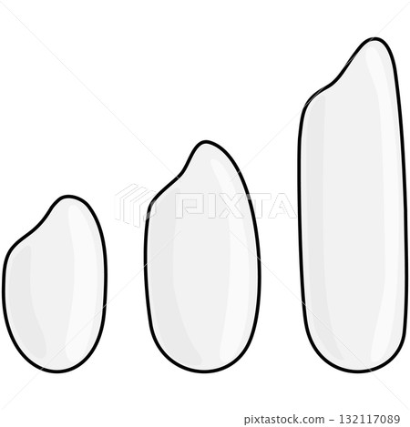 三種米(短粒、中粒、長粒)的向量圖解 三種米(短粒、中粒、長粒)的向量圖解 132117089