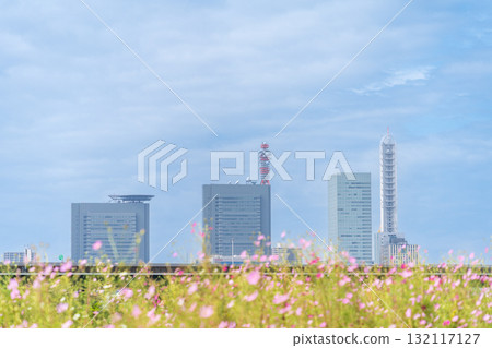 「埼玉縣」見沼稻田秋景 「埼玉縣」見沼稻田秋景 132117127