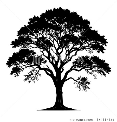 Savanna Acacia Tree Black Silhouette Vector Illustration Savanna Acacia Tree Black Silhouette Vector Illustration 132117134
