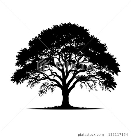 Savanna Acacia Tree Black Silhouette Vector Illustration Savanna Acacia Tree Black Silhouette Vector Illustration 132117154