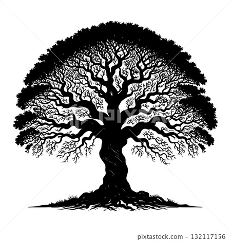 Savanna Acacia Tree Black Silhouette Vector Illustration Savanna Acacia Tree Black Silhouette Vector Illustration 132117156