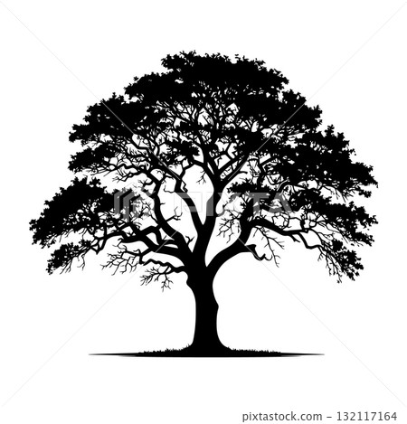 Savanna Acacia Tree Black Silhouette Vector Illustration 132117164