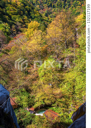 秋季白骨溫泉露天浴池(長野縣松本市) 秋季白骨溫泉露天浴池(長野縣松本市) 132117199