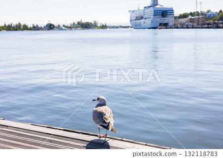 芬蘭赫爾辛基港景觀,歐洲 芬蘭赫爾辛基港景觀,歐洲 132118783
