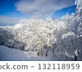 白雪覆蓋的樹木和藍天 132118959