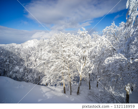白雪覆蓋的樹木和藍天 白雪覆蓋的樹木和藍天 132118959