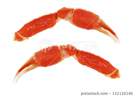 Cooked Peruvian Southern King crab leg isolated on a white background. Crab claws isolated on white background 132120146