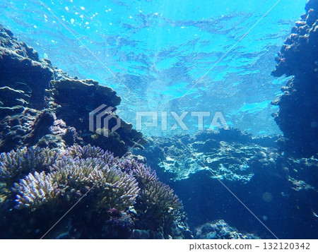 Ocean view of the coral reef Ocean view of the coral reef 132120342
