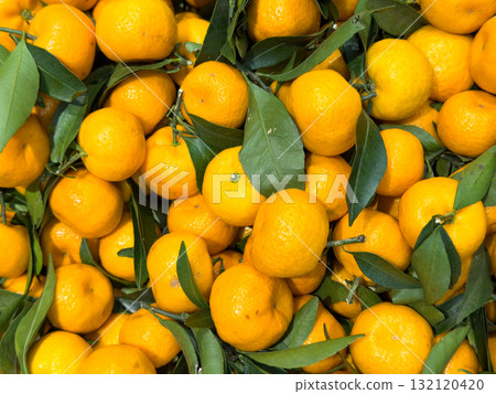 Mandarin with green branch texture background. Juicy and fresh mandarine. 132120420
