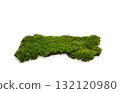 Green moss isolated on white background. Nature background. 132120980