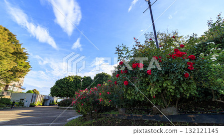 Yokohama Harbor View Park 132121145