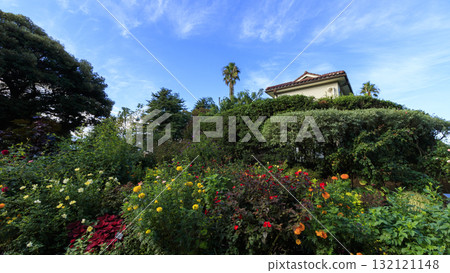 橫濱港景公園 132121148