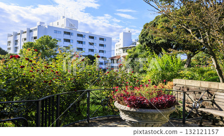 Yokohama Harbor View Park Yokohama Harbor View Park 132121157