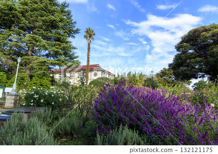 Yokohama Harbor View Park Yokohama Harbor View Park 132121175