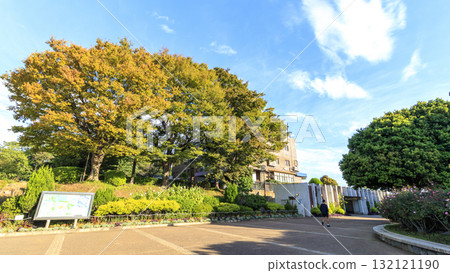 Yokohama Harbor View Park 132121190