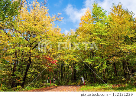 Autumn at Shirahone Onsen "Awanoyu Ryokan" day-trip bathing entrance 132121229