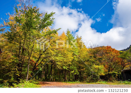 Autumn at Shirahone Onsen "Awanoyu Ryokan" day-trip bathing entrance 132121230