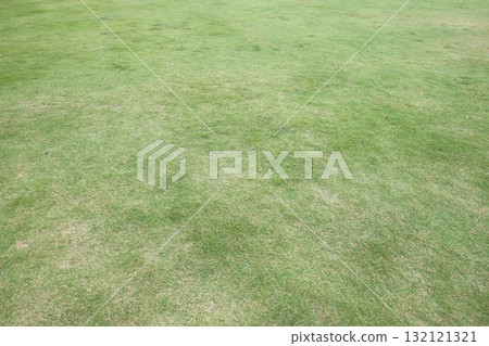 路邊車站的某處草坪 132121321