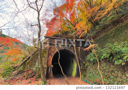 Autumn leaves and tunnels Autumn leaves and tunnels 132121697