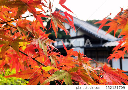 秋季樹葉和寺廟 132121709