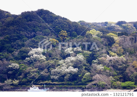Izu Peninsula - View from the Shimoda sightseeing boat Izu Peninsula - View from the Shimoda sightseeing boat 132121791