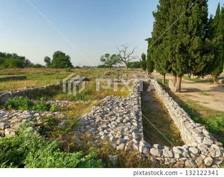 Sirkap ancient city ruins in taxila reflecting indo greek gandhara heritage with streets houses temples and archaeological significance in pakistan 132122341