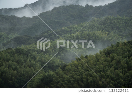 Fog wrapped in fog 132122411