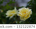 花的女王 132122874