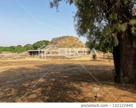 Dharmarajika stupa heritage site in Taxila showing ancient Buddhist monument with tree under bright daylight 132122940