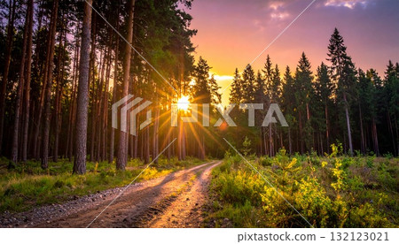 A fantastical landscape painted by the light of the setting sun shining into the forest A fantastical landscape painted by the light of the setting sun shining into the forest 132123021