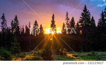 A fantastical landscape painted by the light of the setting sun shining into the forest 132123027