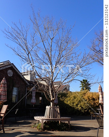 Open Cafe Tree 132123142