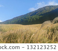 Susukino Plateau in Hakone, Japan's most popular tourist destination 132123252